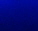 Blu Pavone (P)